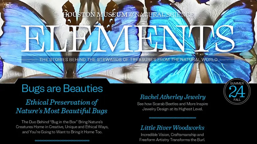 Elements - Summer 2024