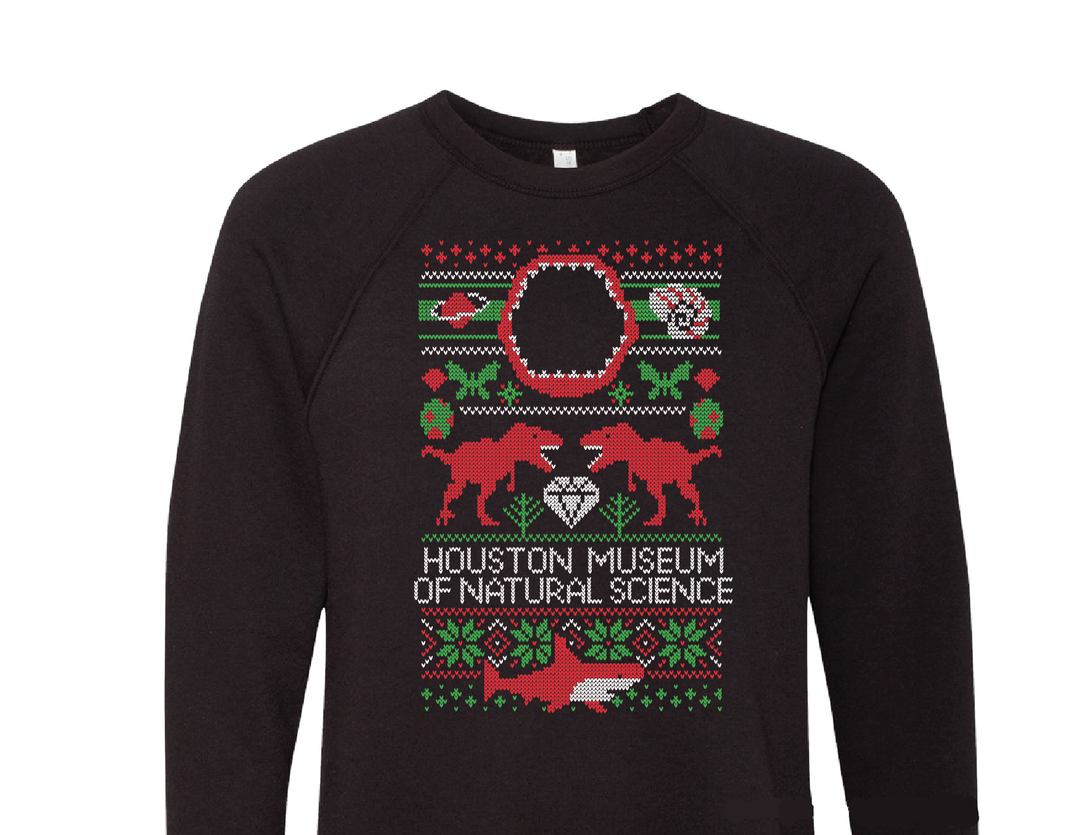 HMNS "Ugly" Christmas Sweater- Youth