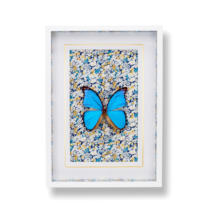 Large Blue Morpho Shadowbox Frame
