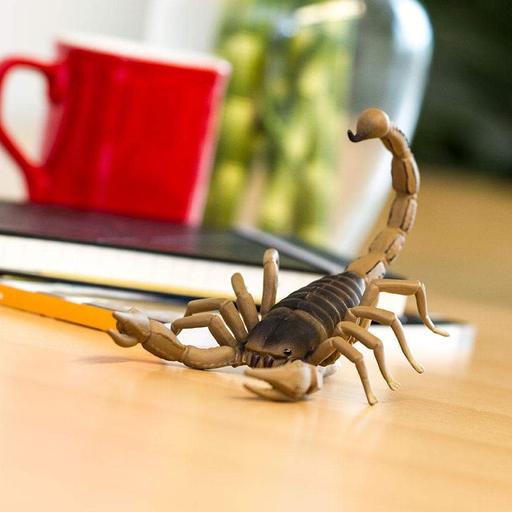 Scorpion