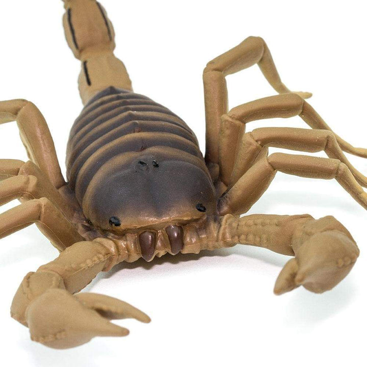 Scorpion