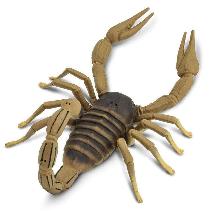Scorpion