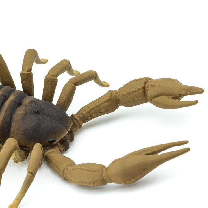 Scorpion