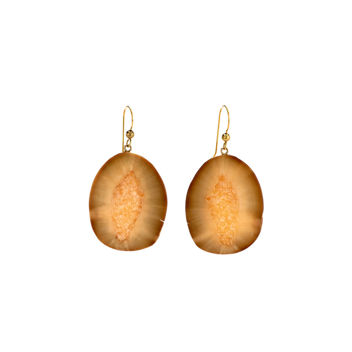Walrus Fossil Slice Earrings