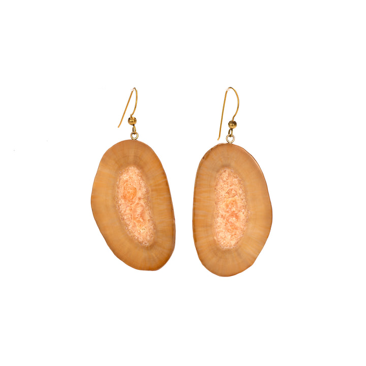 Walrus Fossil Slice Earrings