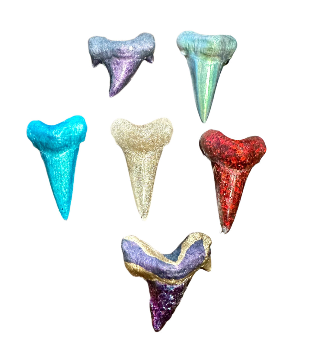 *FINAL SALE* Shark Tooth Magnet