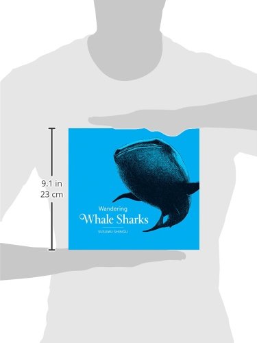 Wandering Whale Sharks