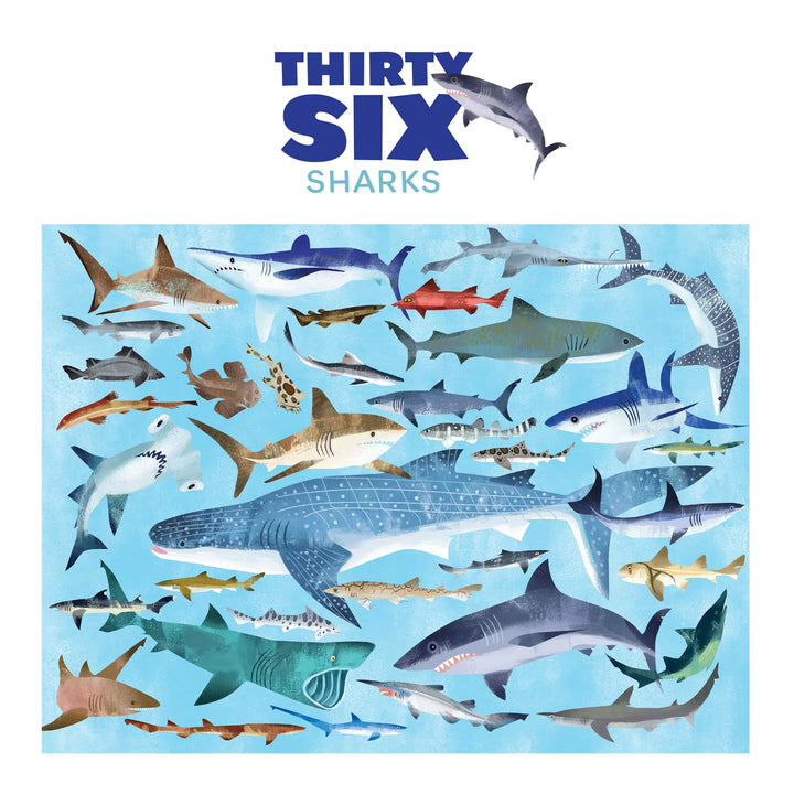 100 PC Shark Puzzle