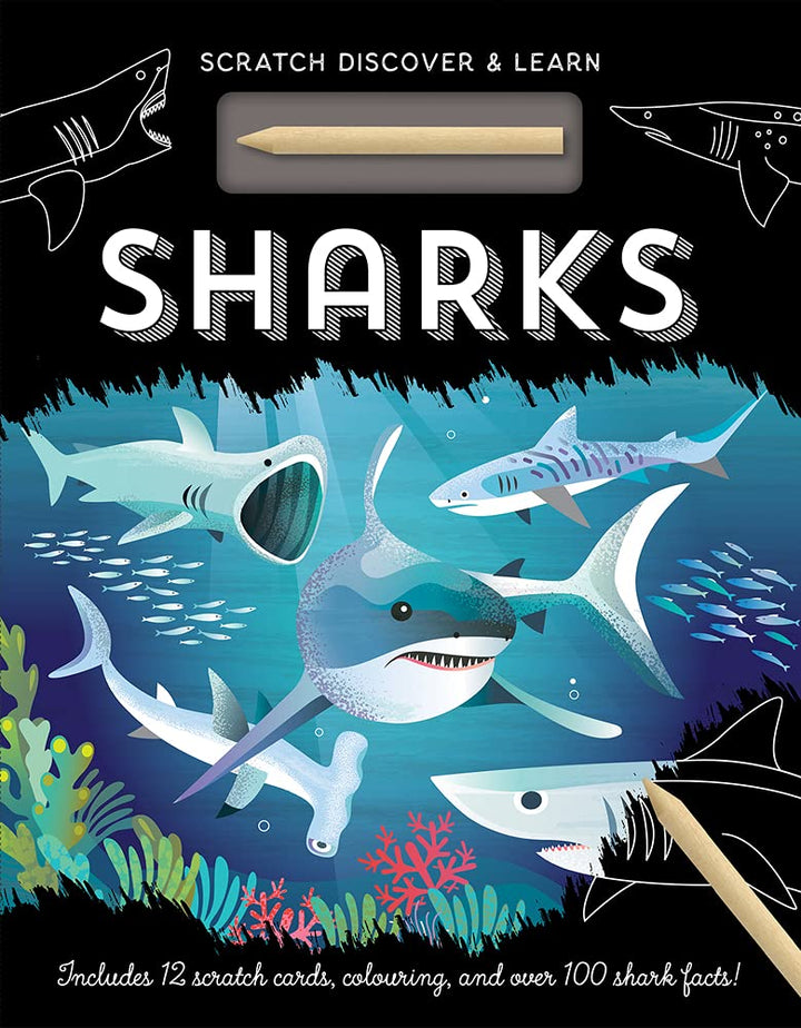 Sharks (Scratch, Discover & Learn)