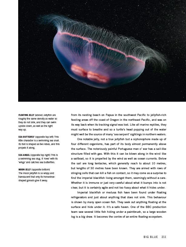Blue Planet II