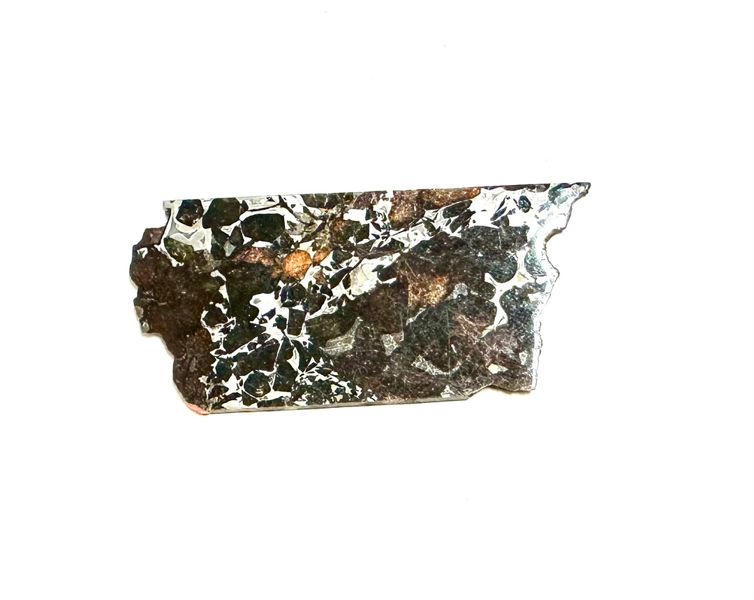 Seymchan Pallasite Meteorite