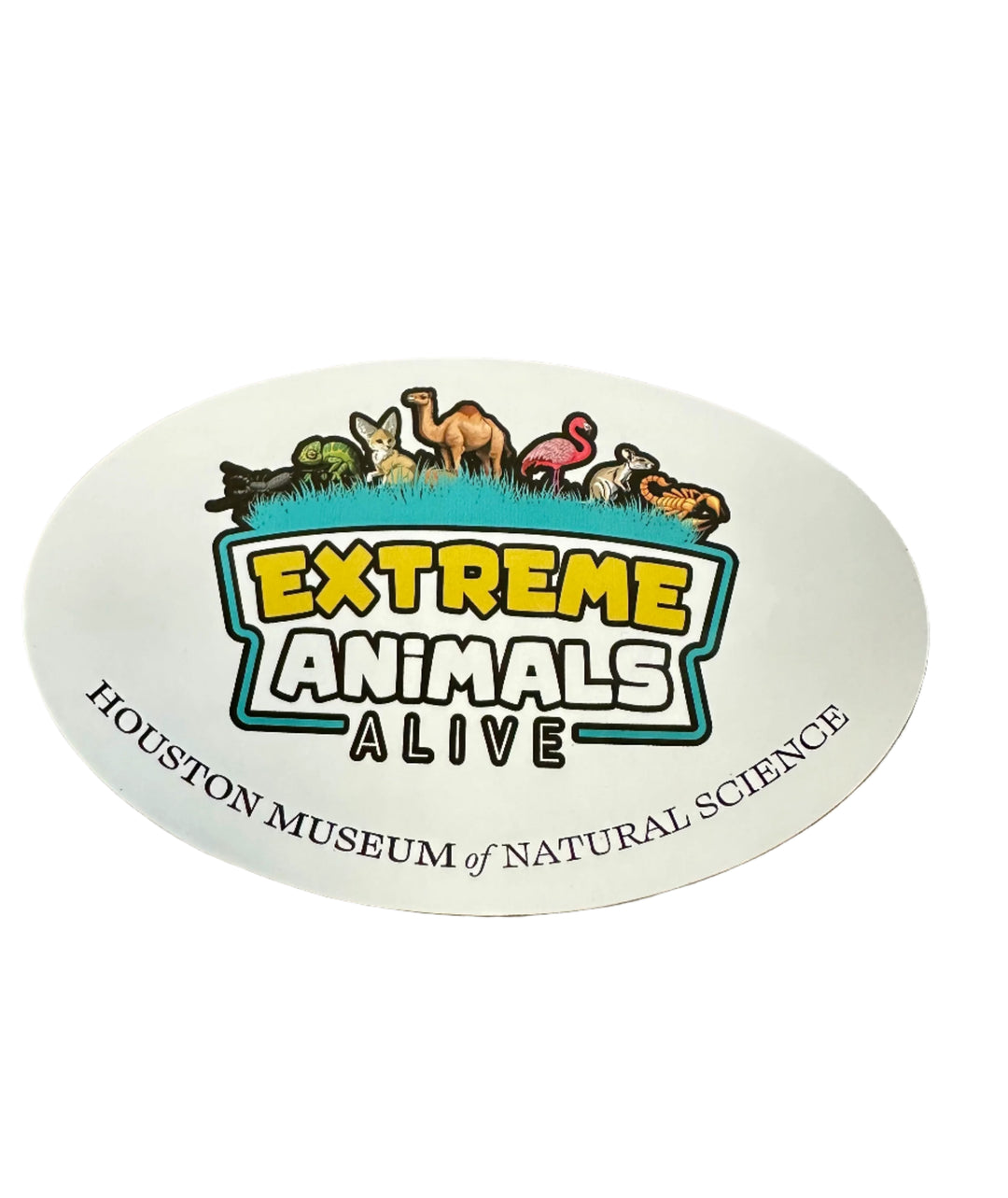 HMNS Extreme Animals Alive Magnet