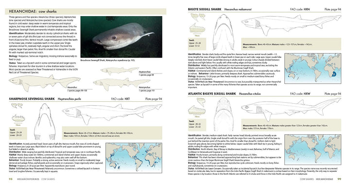 Sharks of the World: A Complete Guide