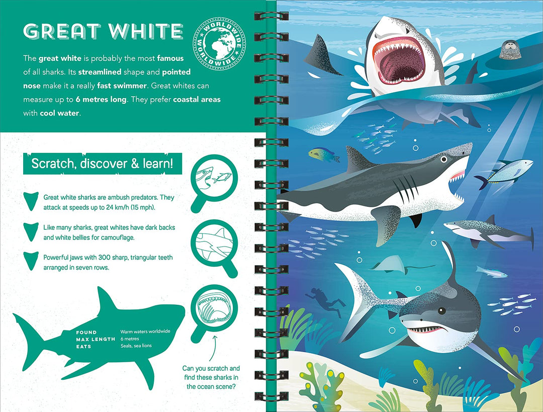 Sharks (Scratch, Discover & Learn)