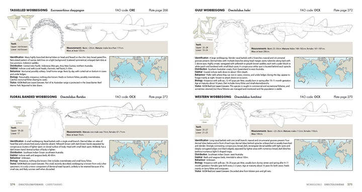 Sharks of the World: A Complete Guide