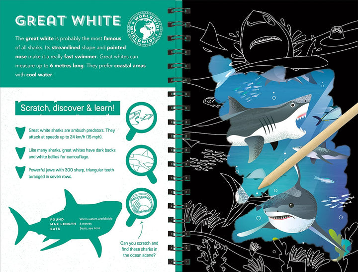 Sharks (Scratch, Discover & Learn)