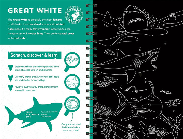 Sharks (Scratch, Discover & Learn)
