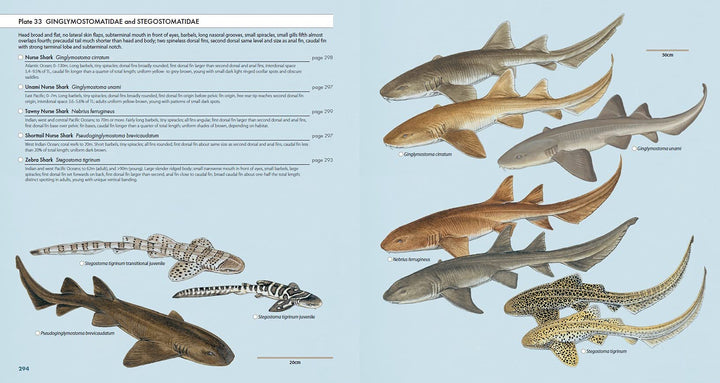 Sharks of the World: A Complete Guide