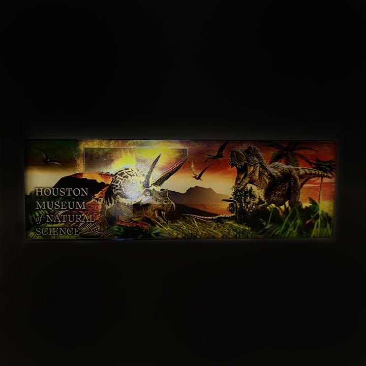 *FINAL SALE* HMNS Dino Volcano Magnet