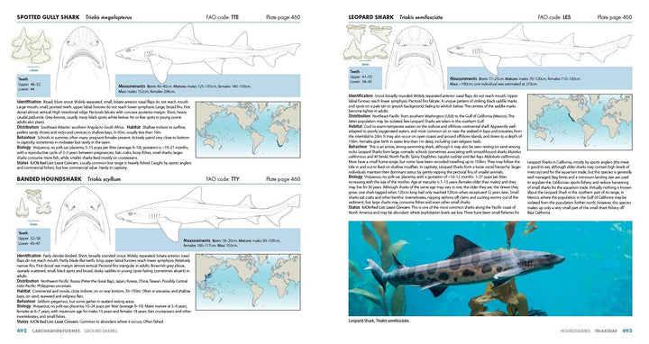Sharks of the World: A Complete Guide