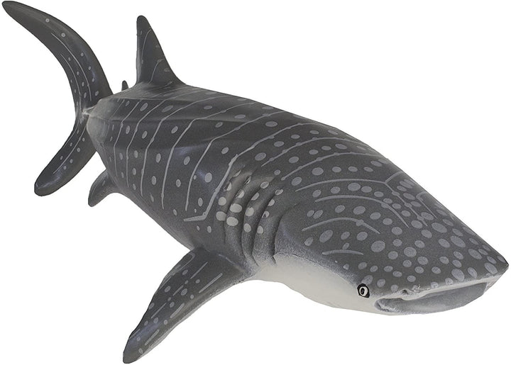 Whale Shark