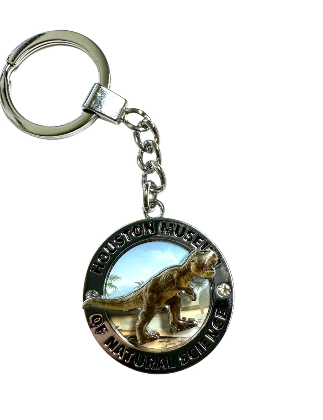*FINAL SALE* HMNS T. rex Bling Keychain