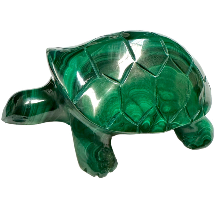 Malachite Animals, Large