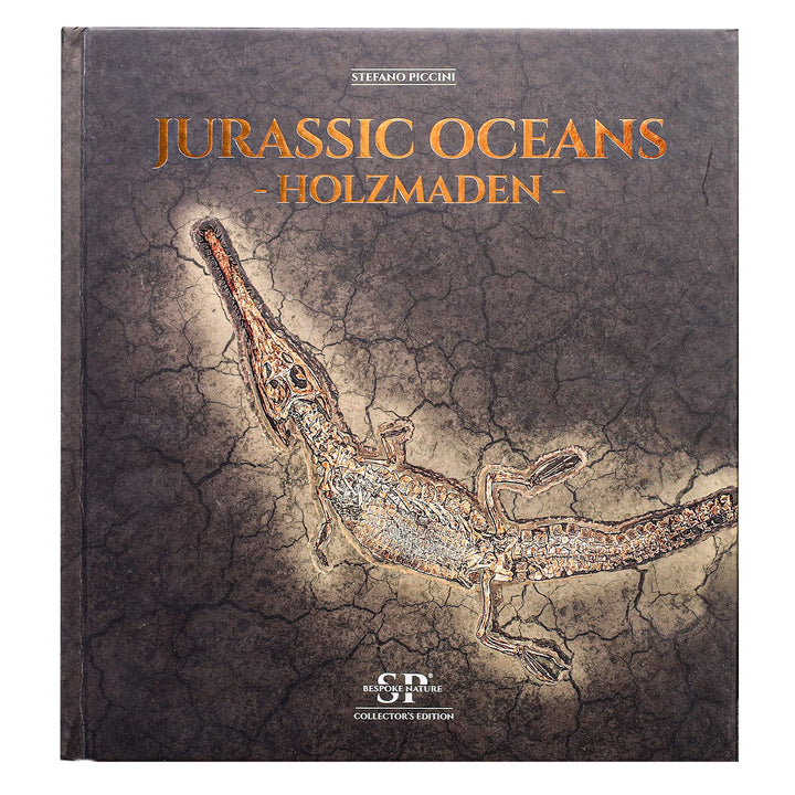 Jurassic Oceans- Holzmaden