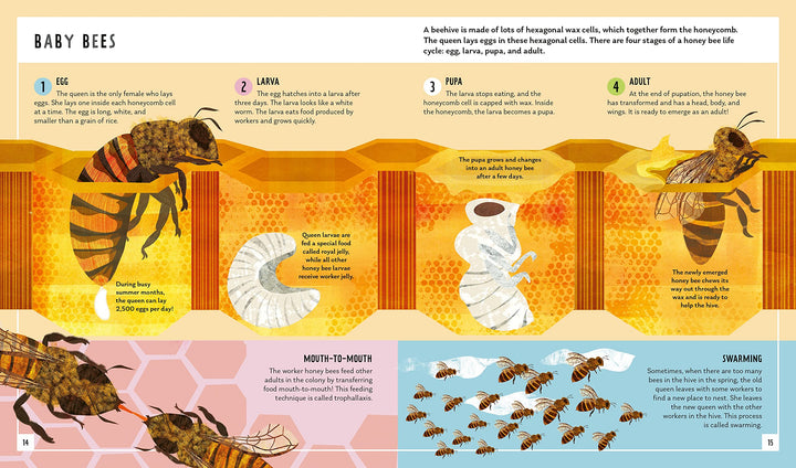 Honey Bee: A First Field Guide to the World's Favorite Pollinating Insect