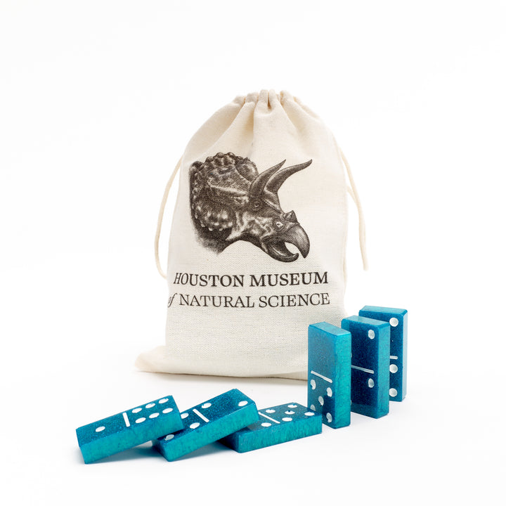 HMNS Colorful Resin Domino Set