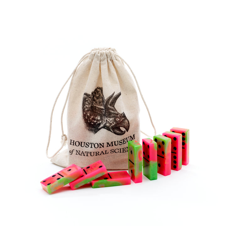 HMNS Colorful Resin Domino Set