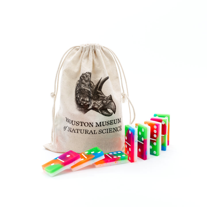 HMNS Colorful Resin Domino Set