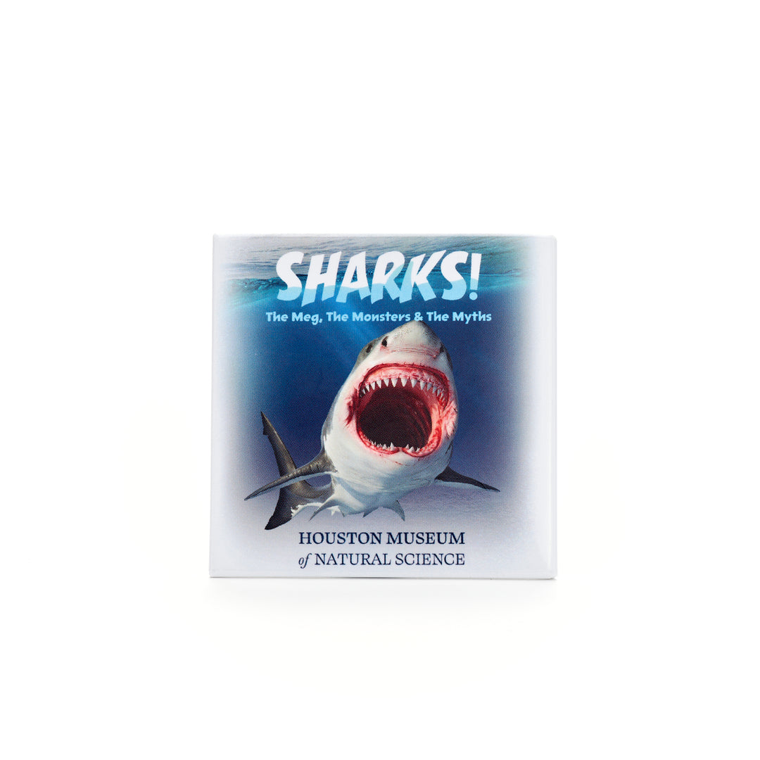 HMNS Sharks! Magnet