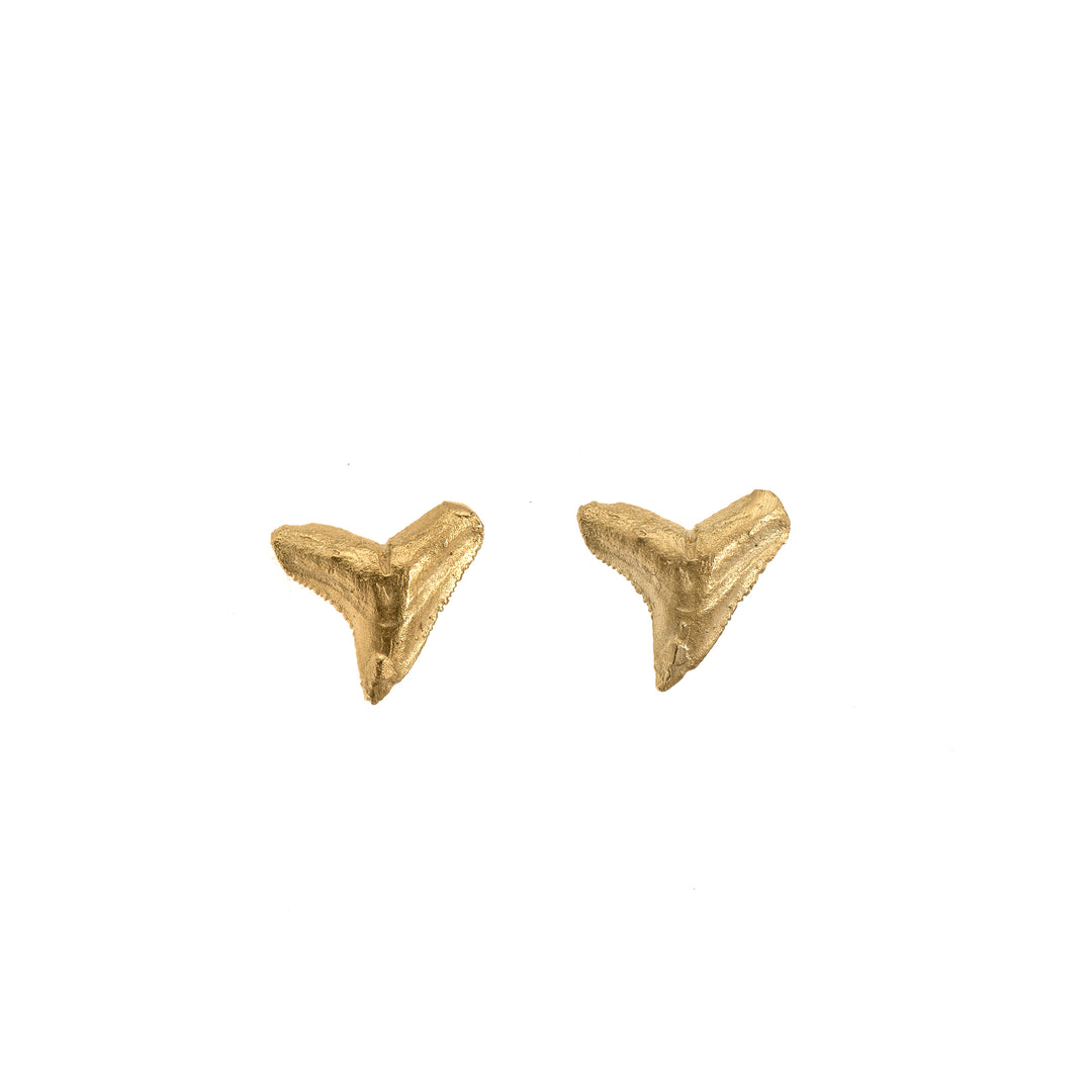 Shark Tooth Studs