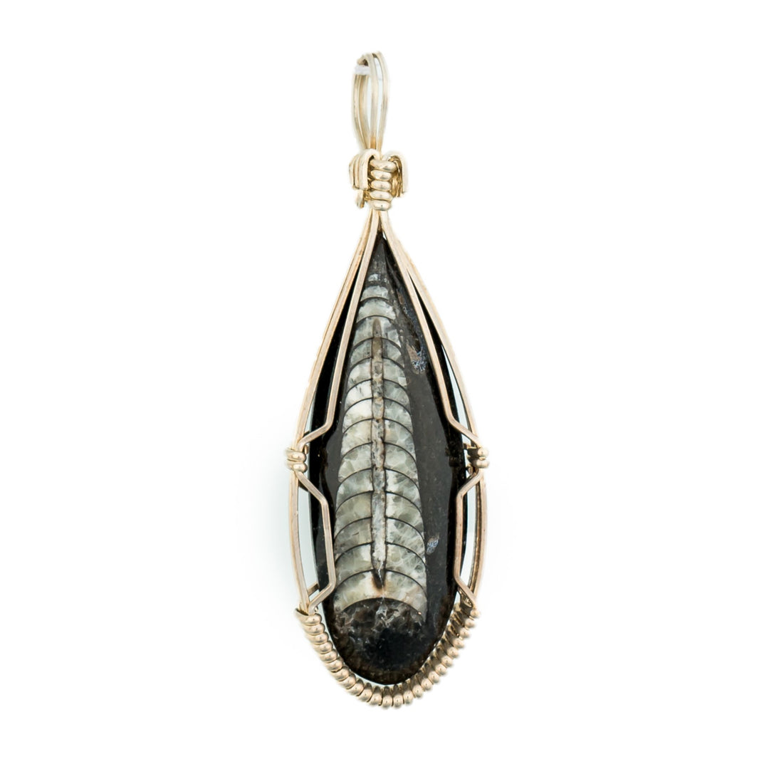 Orthoceras Pendant