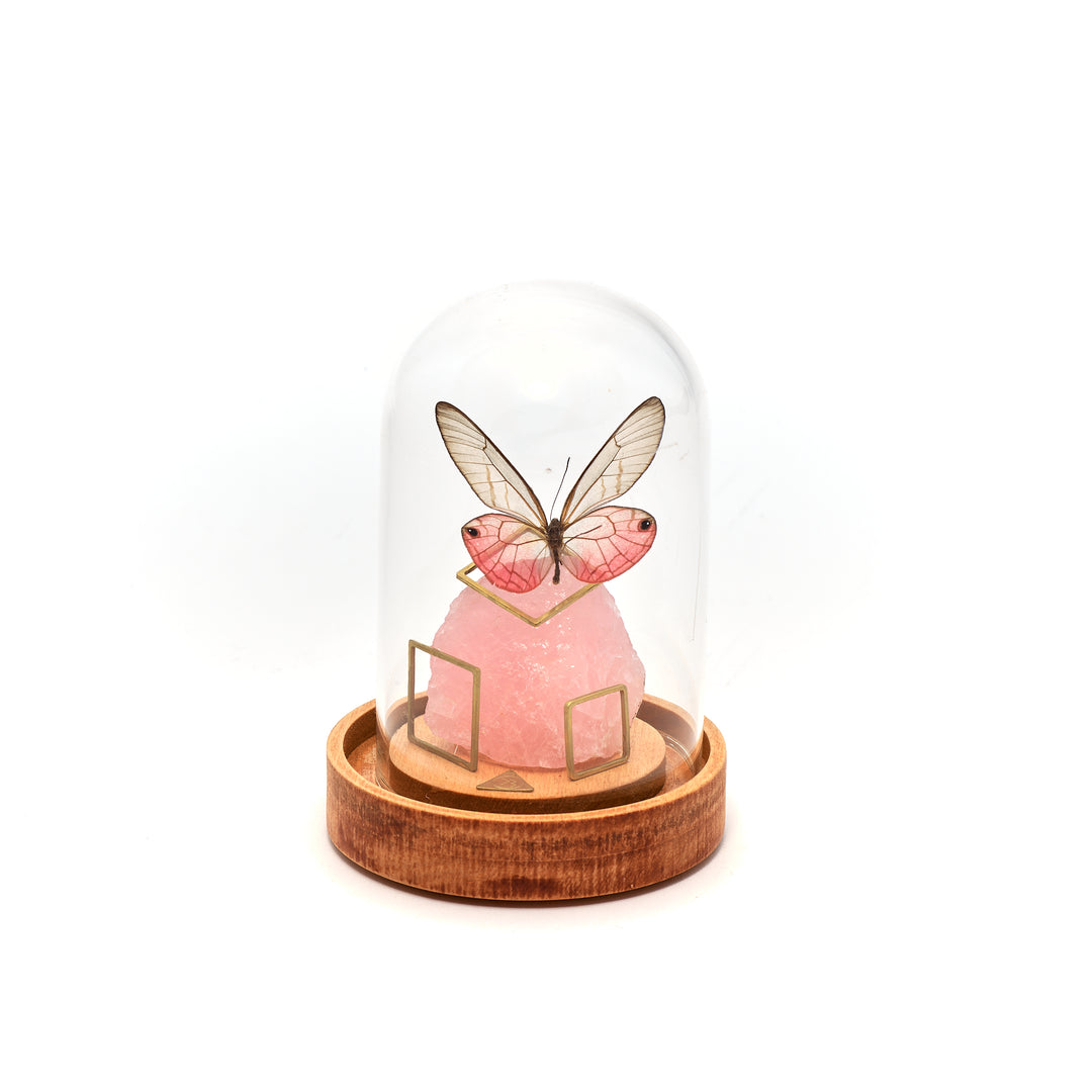 Pink Glasswing Butterfly & Rose Quartz Dome
