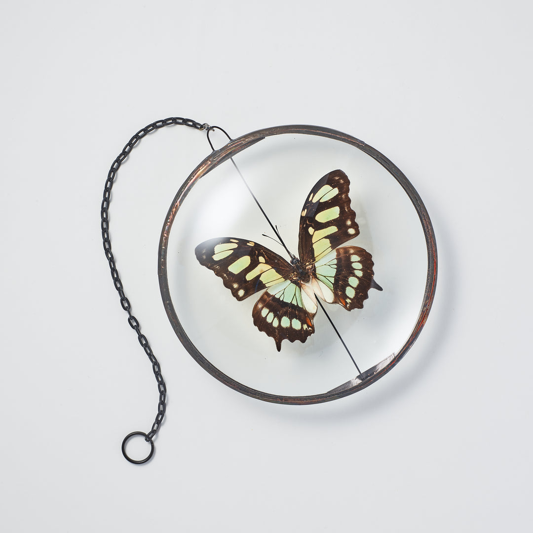 Malachite Butterfly Medium Wall Pendant