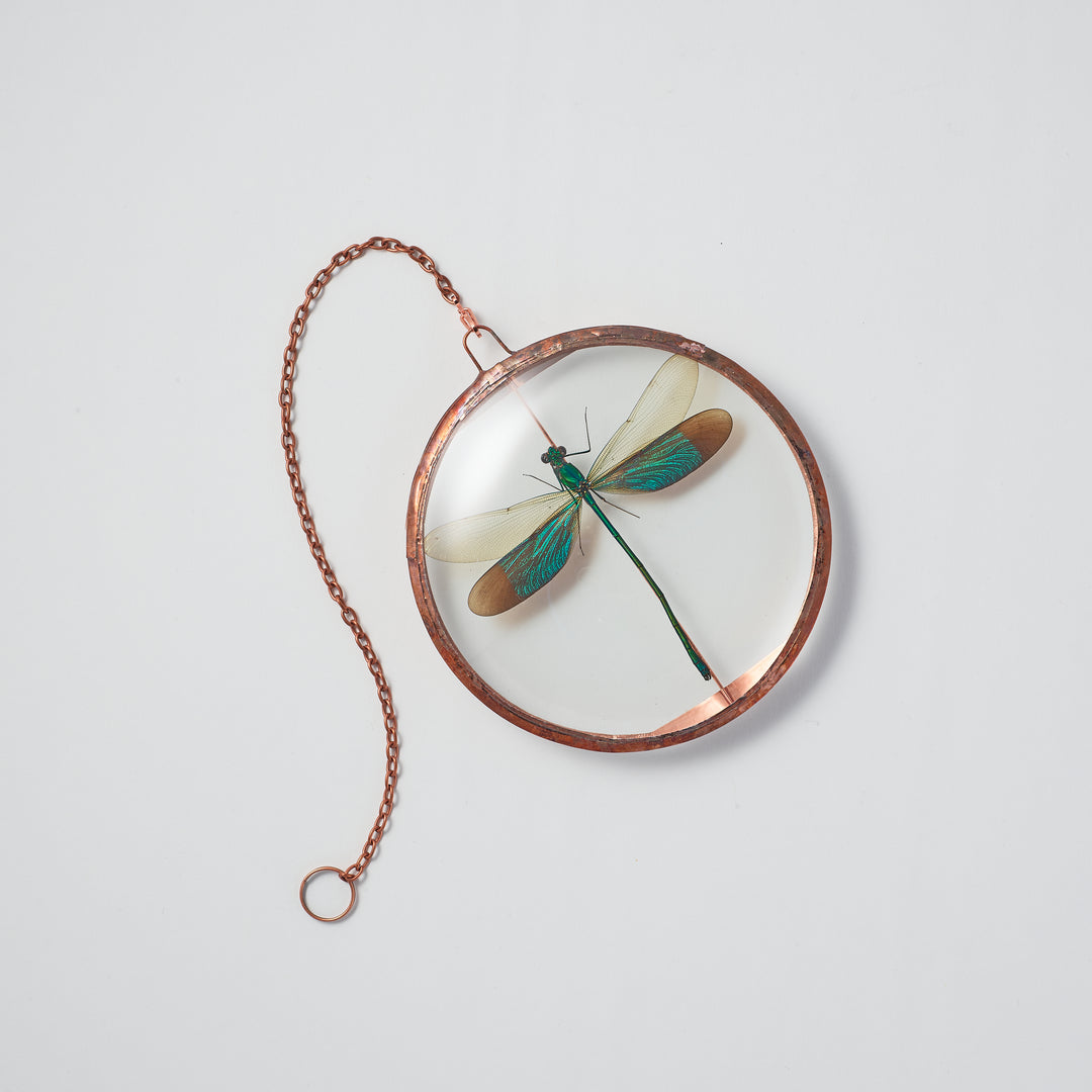 Teal Damselfly Pendant
