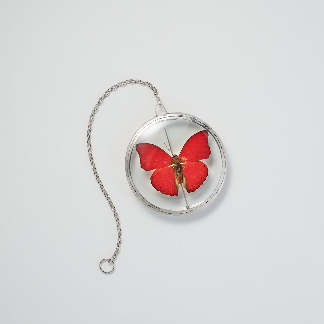 Blood-Red Glider Butterfly Petite Wall Pendant