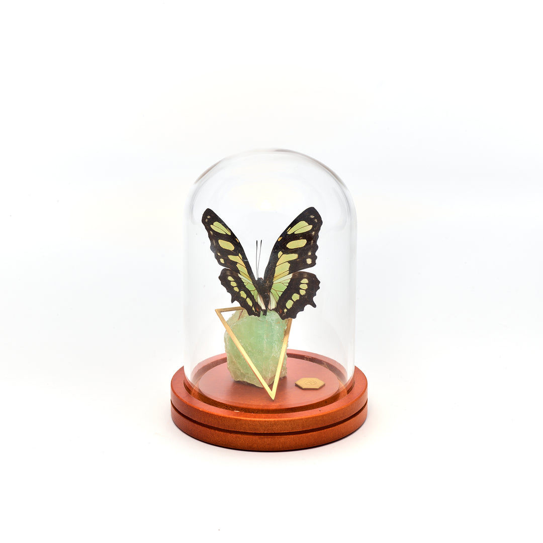 Malachite & Calcite Butterfly Dome