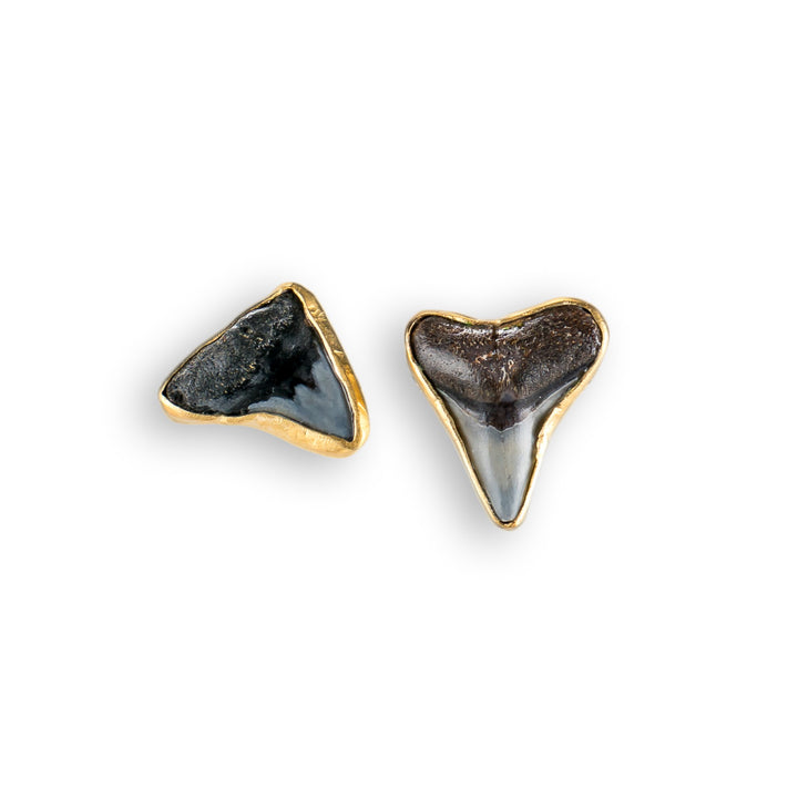 Shark Tooth Stud Earrings