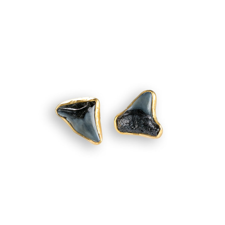Shark Tooth Stud Earrings