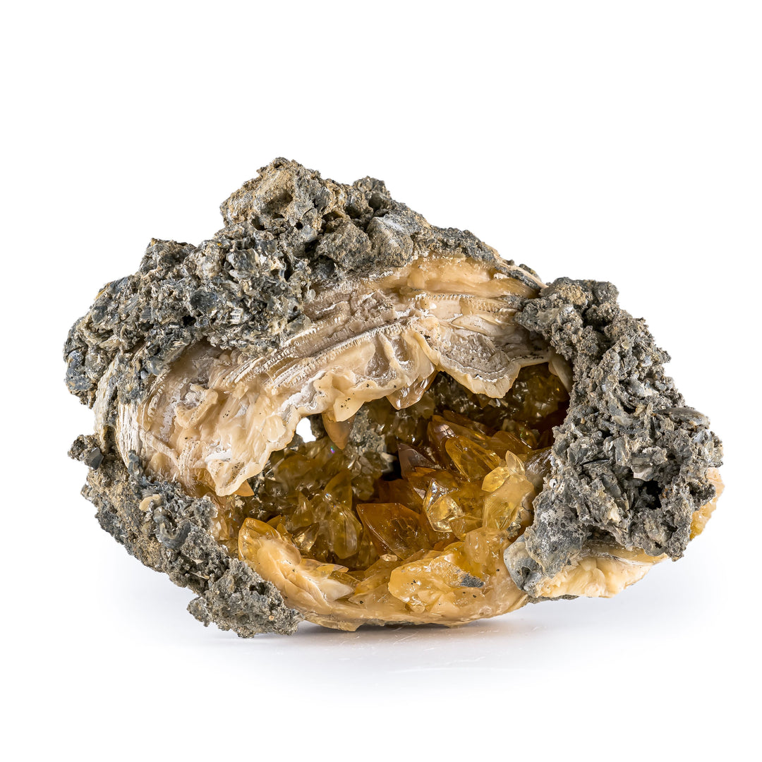 Calcite Clam