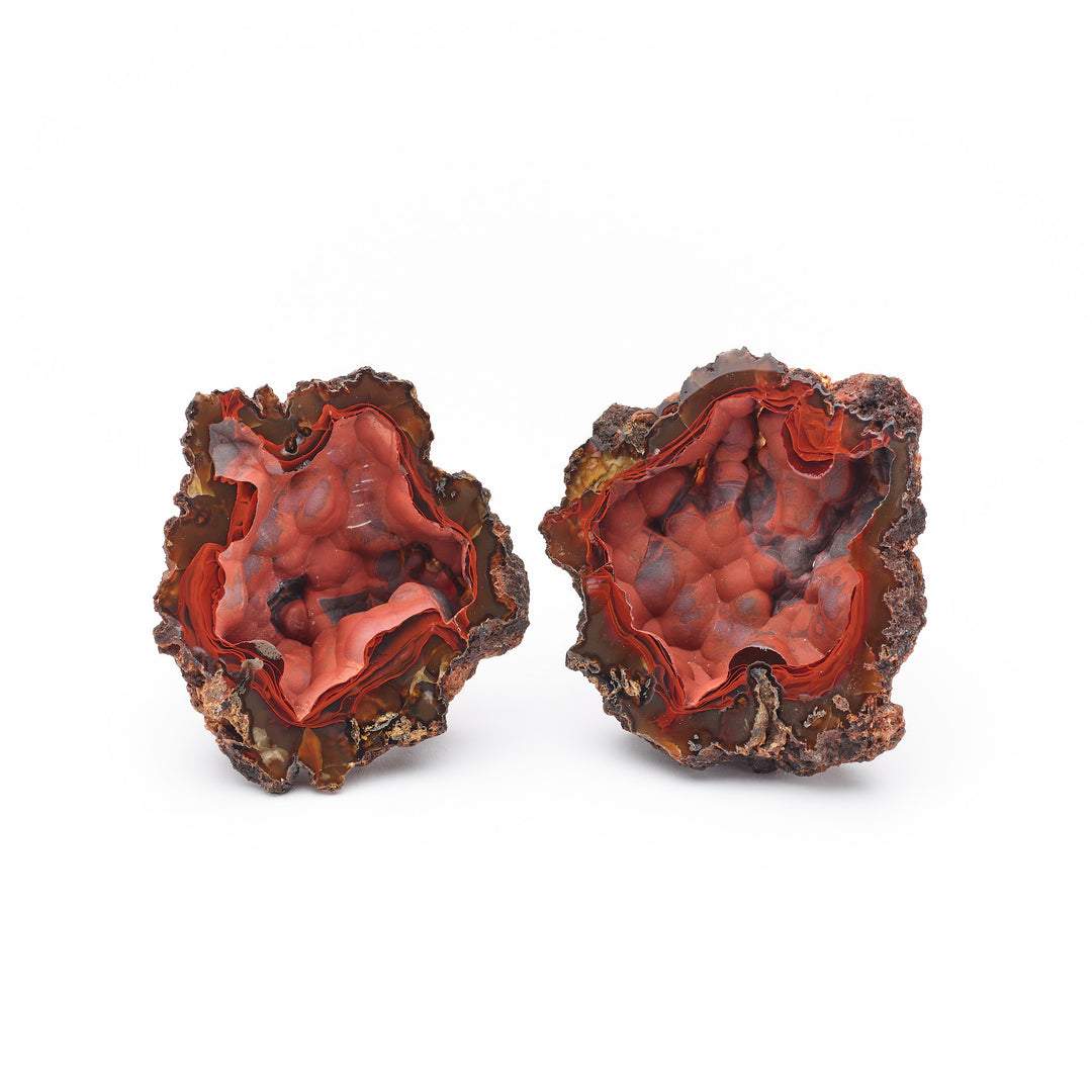 Red Fox Agate Pair