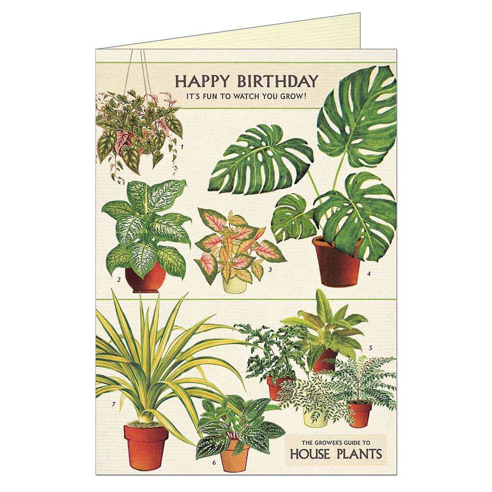 Happy Birthday House Plants Greeting Card