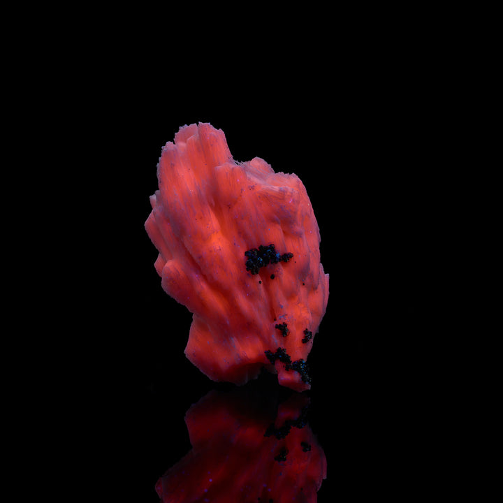Medium Manganoan Calcite- UV Reactive