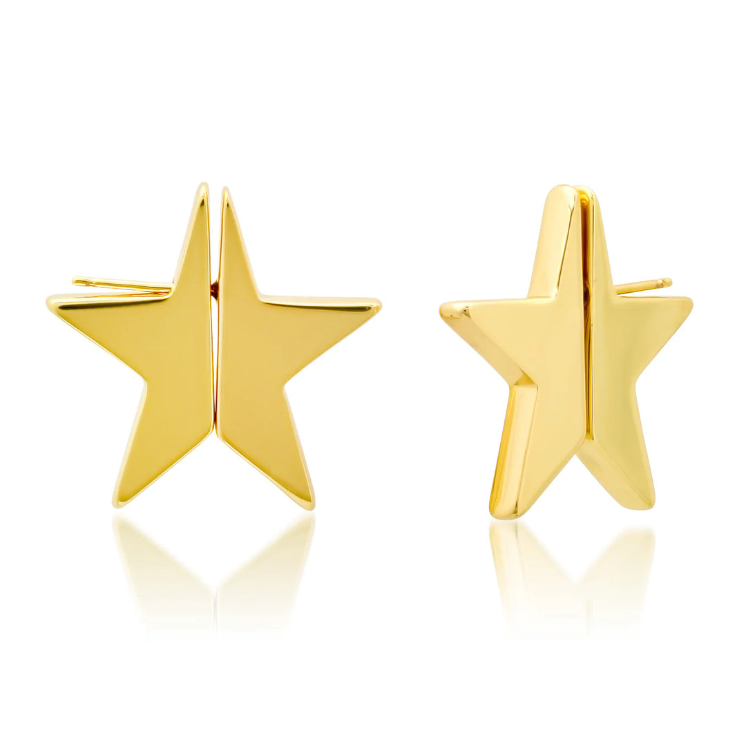 Front to Back Star Earrings