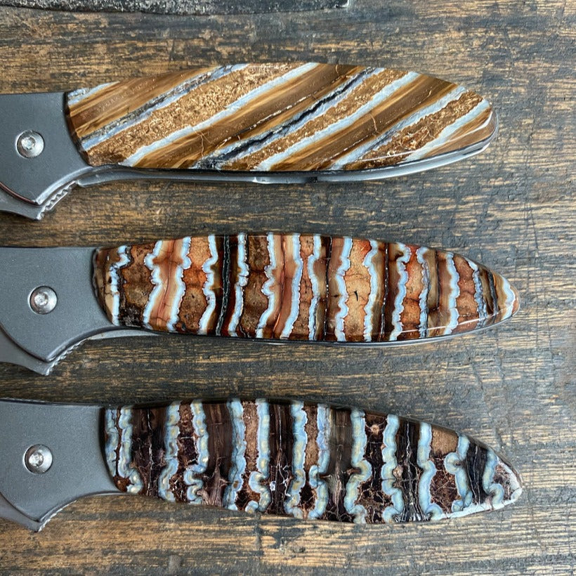 【手渡しOK】K-SHAPE ミッドレングス7,06 オマケフィン付き Kershaw Mammoth Tooth Pocket Knife – Houston Museum of Natural Science