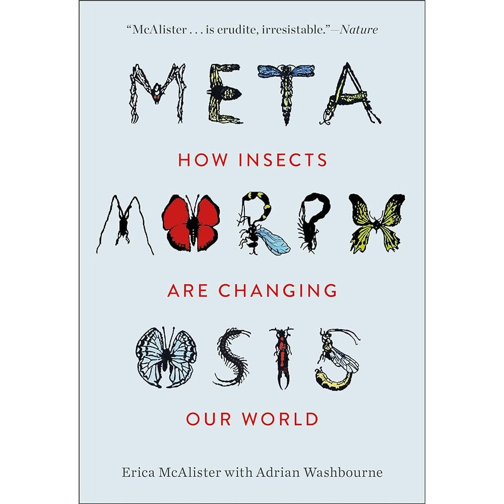 Metamorphosis: How Insects Are Changing Our World