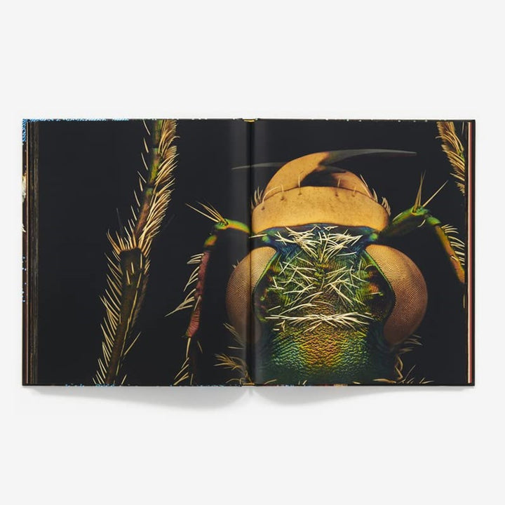 Extinct & Endangered: Insects in Peril